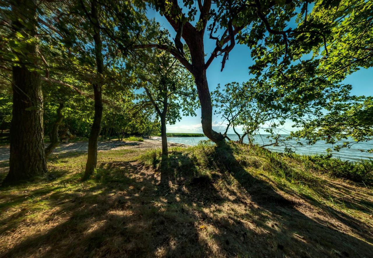 Traumhaff Historischer Kahnschifferhof Mit Kamin, Liebevoll Restauriert Vogelsang-Warsin Exterior photo